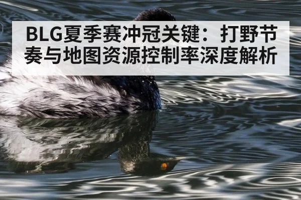 BLG夏季赛冲冠关键：打野节奏与地图资源控制率深度解析 - kaiyun sports