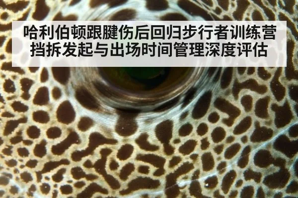哈利伯顿跟腱伤后回归步行者训练营 挡拆发起与出场时间管理深度评估 - kaiyun sports